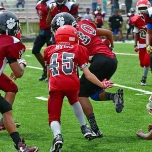 Meet your Posher, Ross